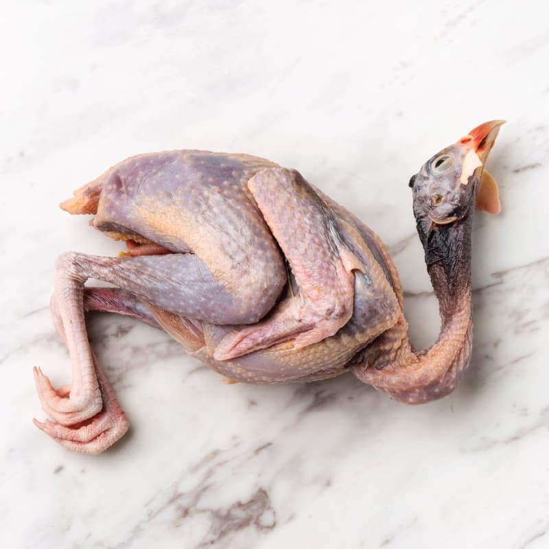 Quail Meat For Sale Australia Aurum Poultry Co 