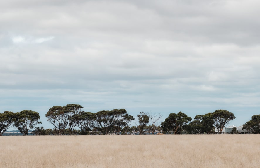 aurum poultry farmland