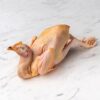 An uncooked whole fook wong pullet chicken with head and feet still on