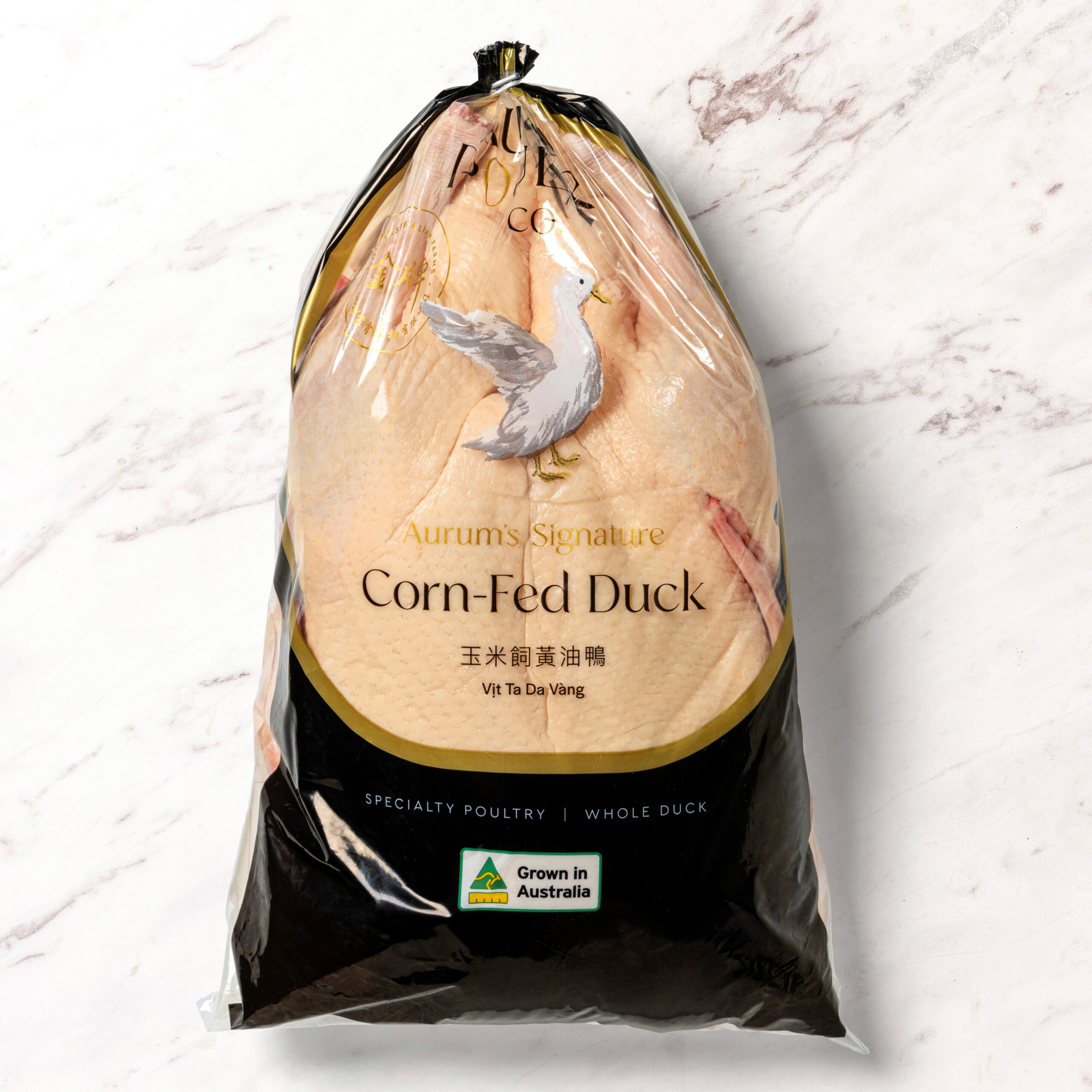 Corn-Fed Duck