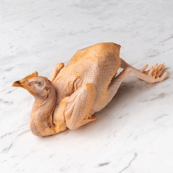 Pullet | Fook Wong Chicken | 1.35 kg+