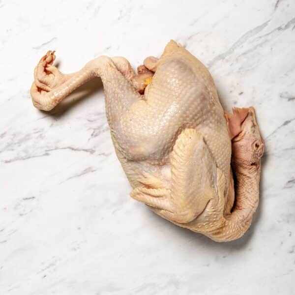 Aurum Mid Chicken | Mature Laying Hen | Whole, Head & Feet On
