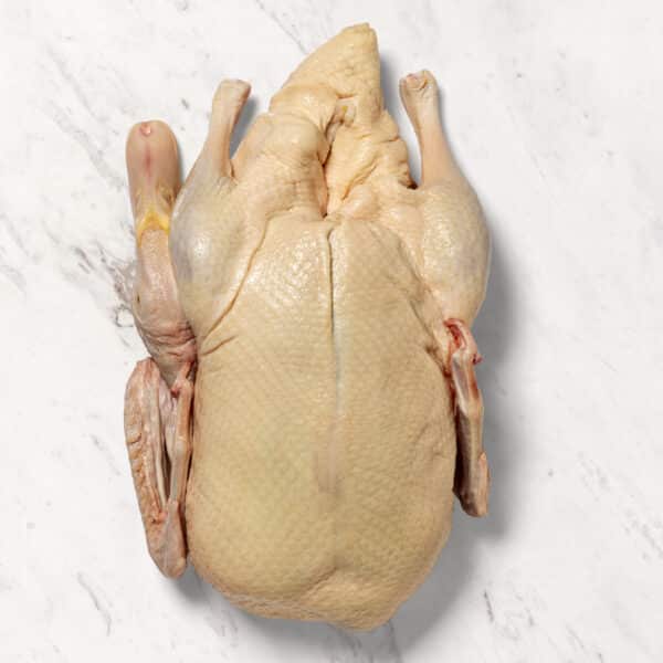 Corn-Fed Duck | Aurum’s Signature | Whole, Head On Feet Off | Size 20