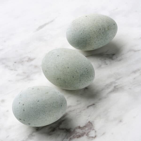 Aurum Century Duck Eggs | Tray (20 eggs)