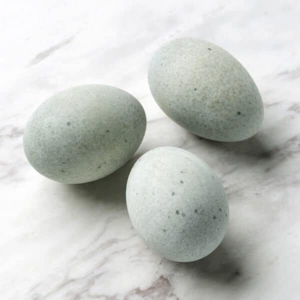 Aurum Century Duck Eggs | Tray (20 eggs)